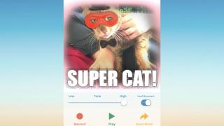 talking pet app for mac
